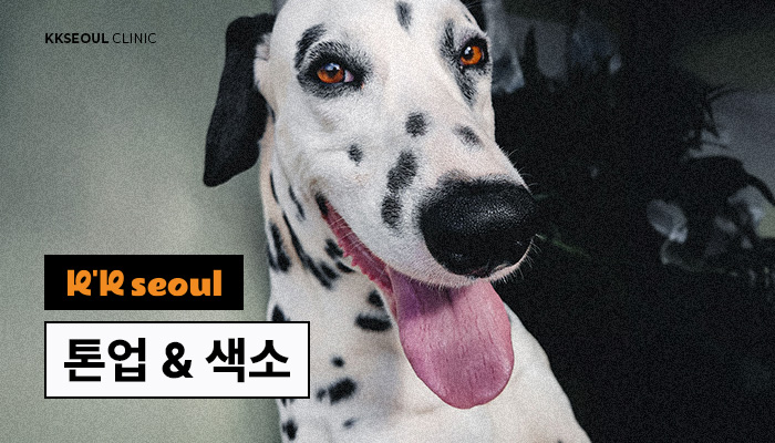 톤업 & 색소